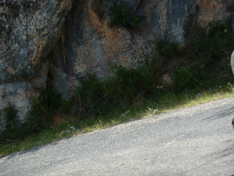 ../Images/2012-07-10-10h38m33 .jpg